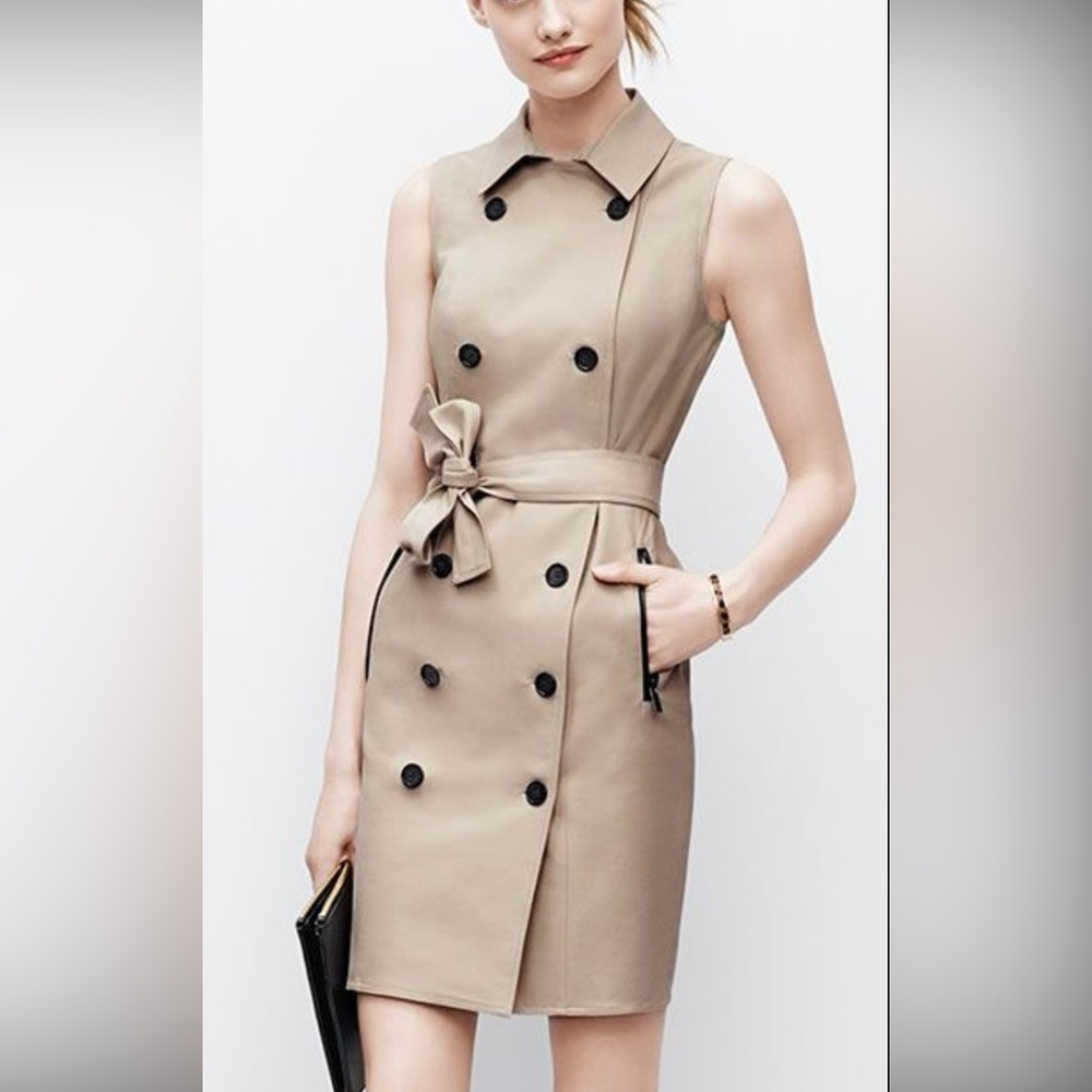 Ann Taylor Classic Beige Dress